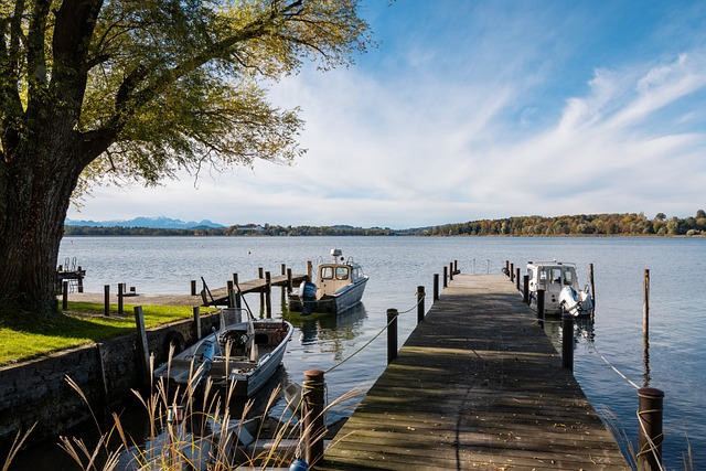 彻底点燃了 彻底点燃了