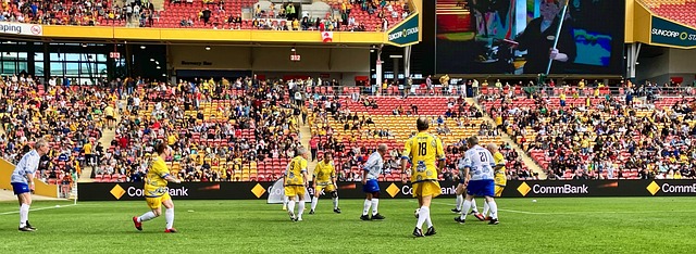 在这个交易 在这个交易