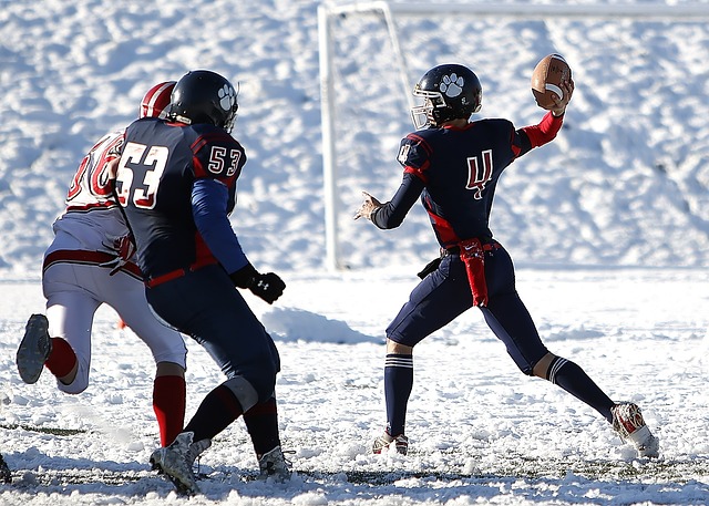 俱乐部的象 俱乐部的象