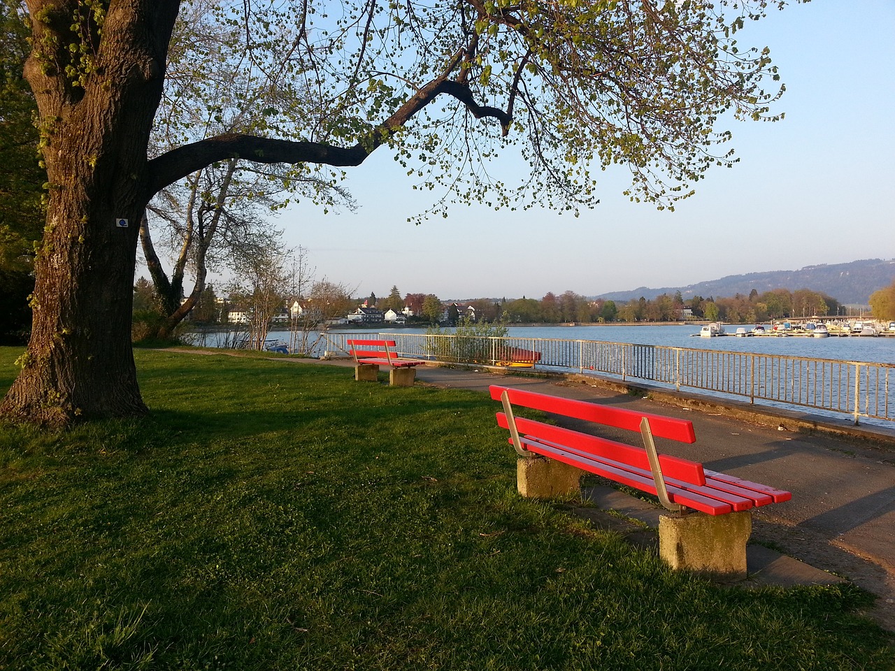 的现象并不 的现象并不