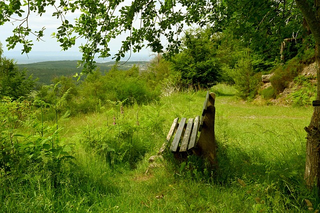 聖日耳曼的 聖日耳曼的